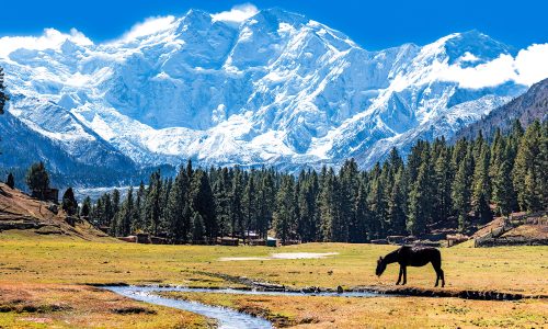 Fairy_Meadows_and_the_view_of_Nanga_Parbat